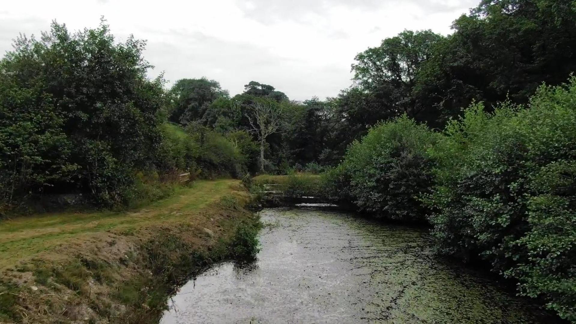 Trelawney Cottage, Sleeps Up To 4, Wifi, Fully Equipped Menheniot Exteriér fotografie