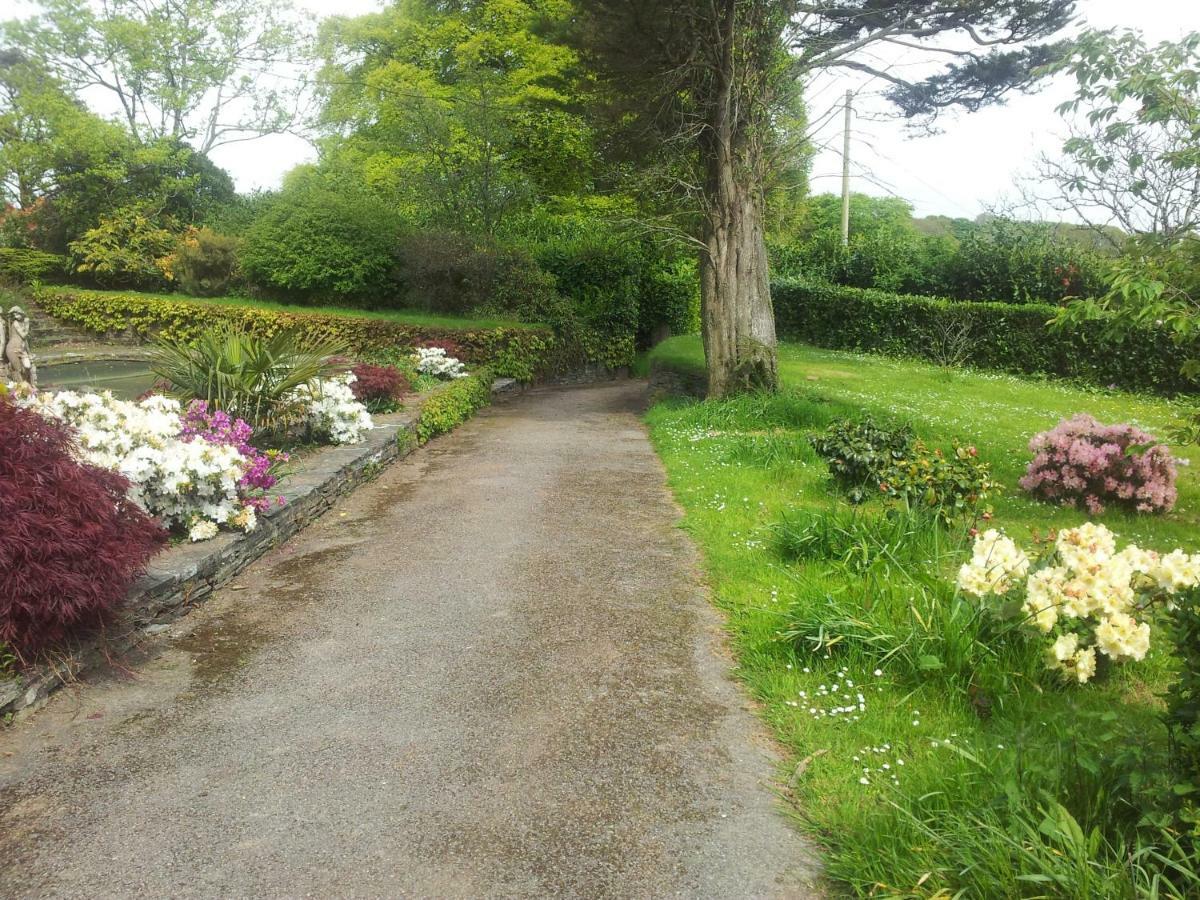 No 4 Trelawney Apartment - Onsite Bar - Restaurant - Horse Riding Menheniot Exteriér fotografie