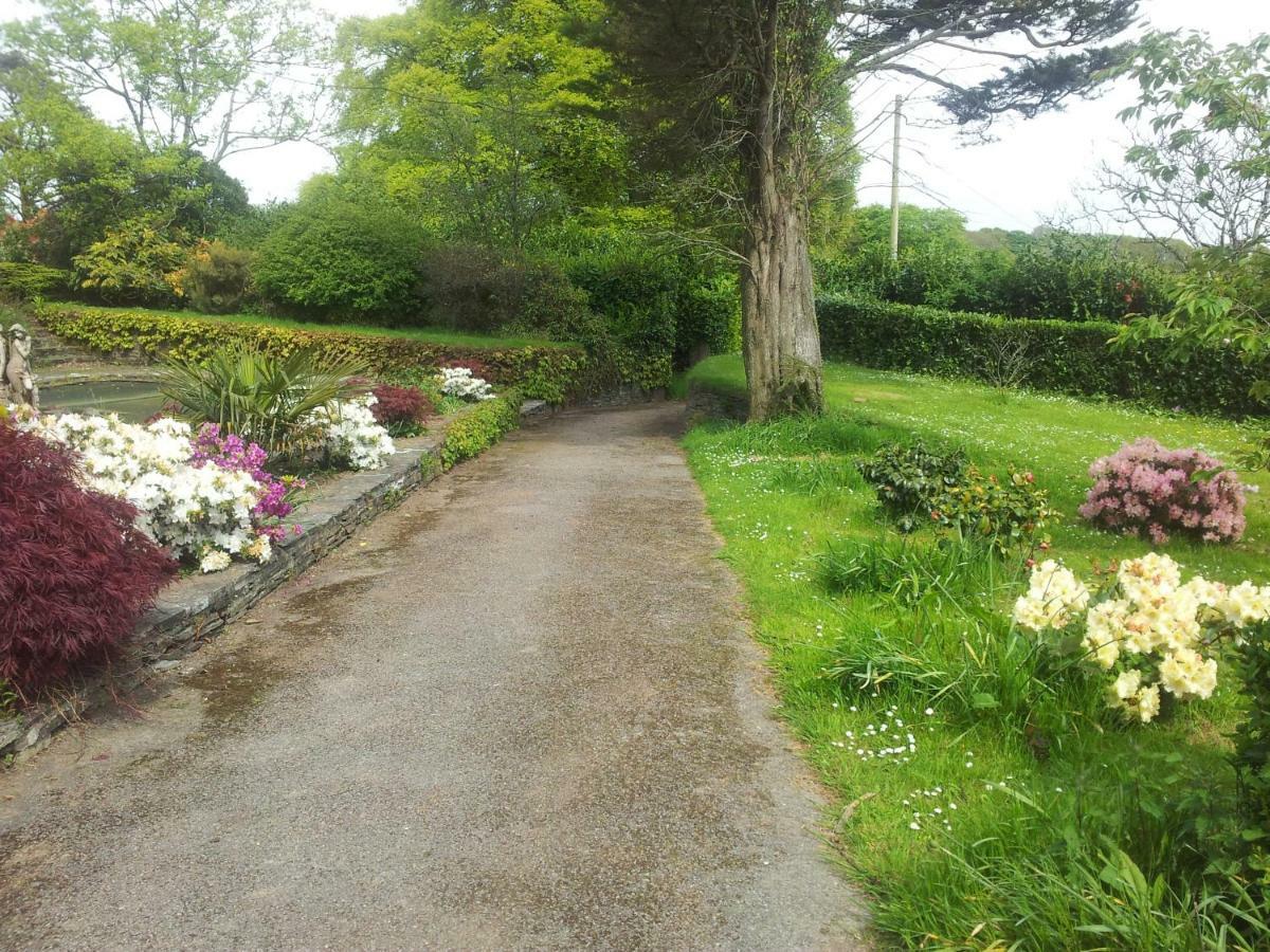 Trelawney Cottage, Sleeps Up To 4, Wifi, Fully Equipped Menheniot Exteriér fotografie