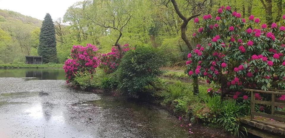 Trelawney Cottage, Sleeps Up To 4, Wifi, Fully Equipped Menheniot Exteriér fotografie