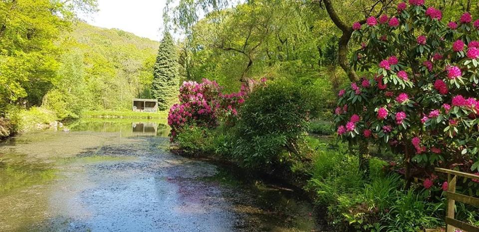 Trelawney Cottage, Sleeps Up To 4, Wifi, Fully Equipped Menheniot Exteriér fotografie